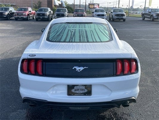 2018 Ford Mustang EcoBoost in Birmingham, AL - Iron City Ford